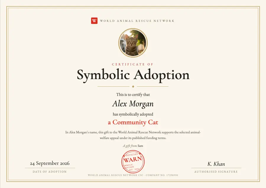 Sample cat symbolic adoption certificate made out to Alex Morgan, dated 24 September 2026, marked as a gift from Sam
