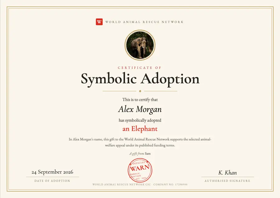 Sample symbolic elephant adoption certificate made out to Alex Morgan as a gift from Sam