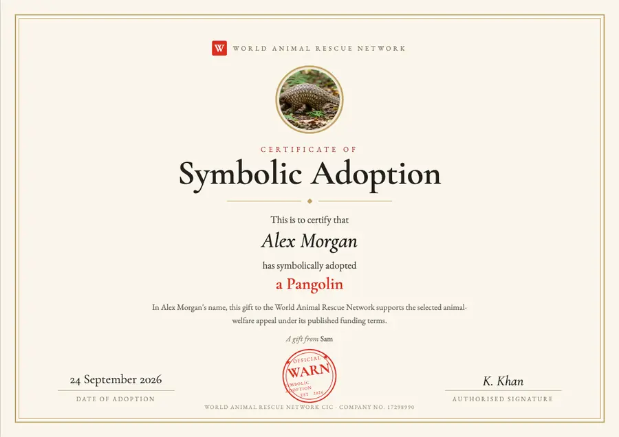Sample pangolin symbolic adoption certificate made out to Alex Morgan, dated 24 September 2026, marked as a gift from Sam