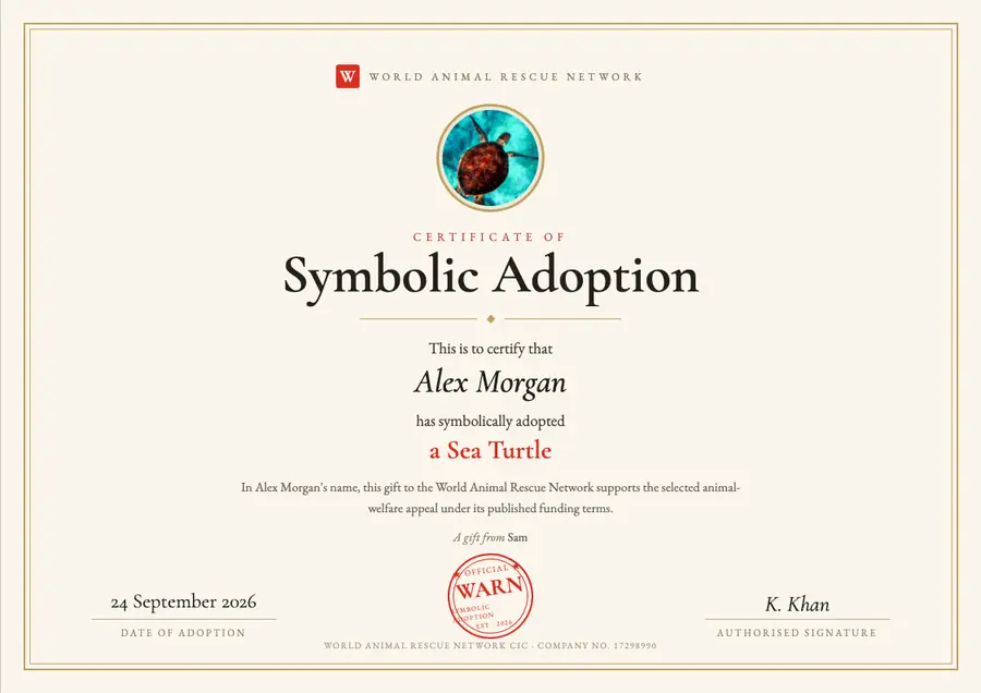 Sample sea turtle symbolic adoption certificate made out to Alex Morgan, dated 24 September 2026, marked as a gift from Sam