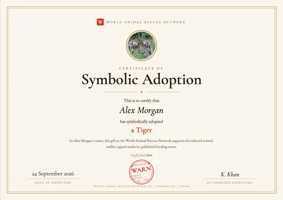 Sample tiger symbolic adoption certificate made out to Alex Morgan, dated 24 September 2026, marked as a gift from Sam